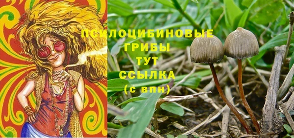 крисы Абдулино