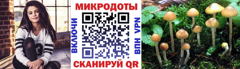 Галлюциногенные грибы мухоморы Холмск