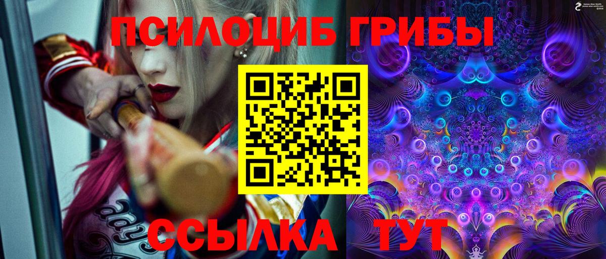 Галлюциногенные грибы Cubensis  Вход с VPN  Холмск 