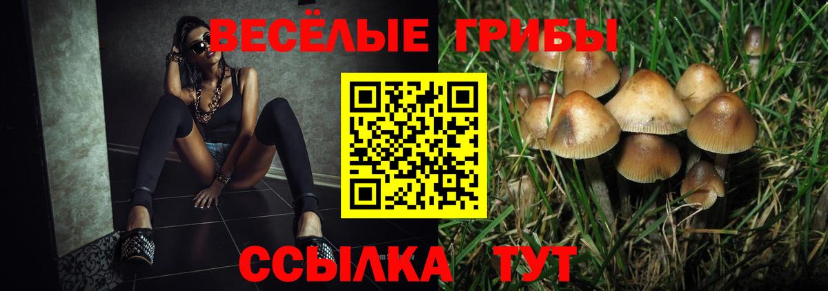 Галлюциногенные грибы мицелий Холмск